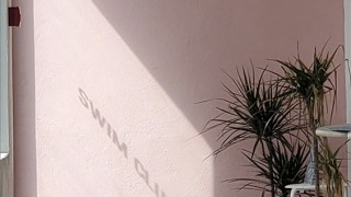 The potted plant filled interior of Little Island Resort - the sunlight casts the shadow of 