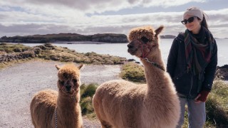 Seaside Alpacas