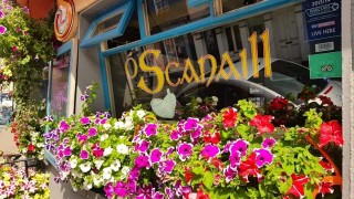 Scannell’s Bar