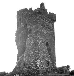 Castle Donovan Drimoleague