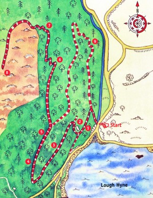 Knockomagh Hill nature trail map